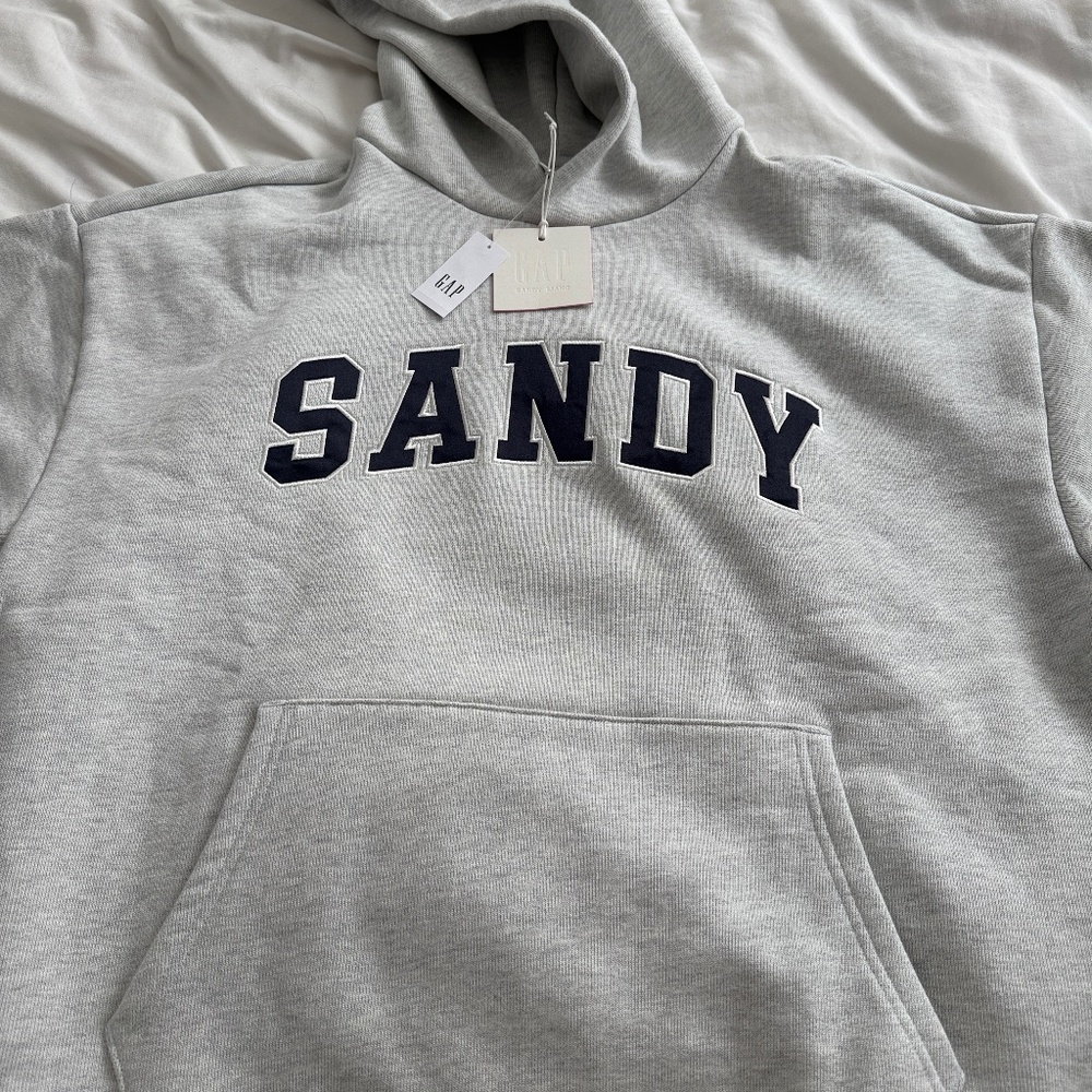 Gap x Sandy Liang grey hoodie Size Large BNWT